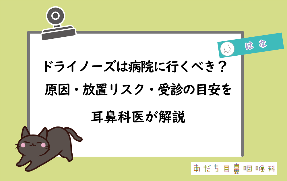 ドライノーズは病院に行くべき?原因・放置リスク・受診の目安を耳鼻科が解説