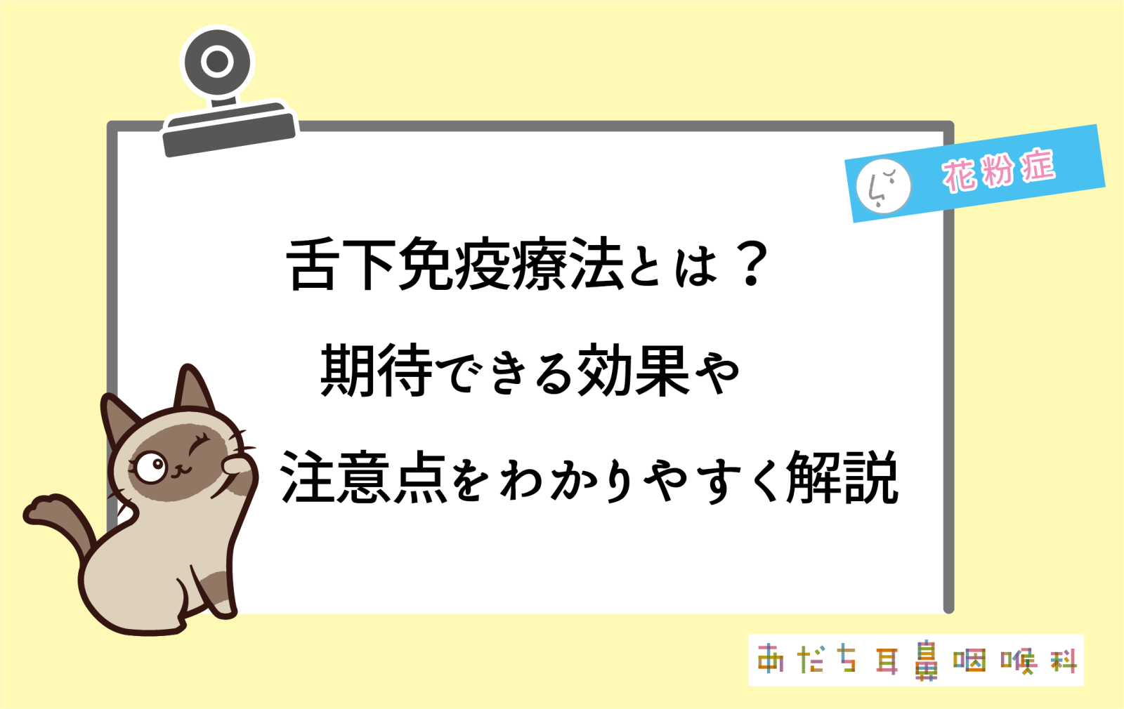 ゾレア vs. ヌーカラ